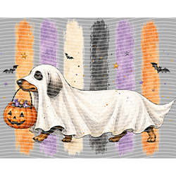 Halloween-WS 11989